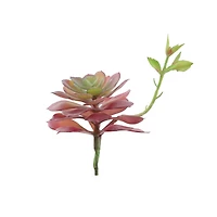 Flora Bunda® Red Echeveria Lola Succulent Pick, 6ct.