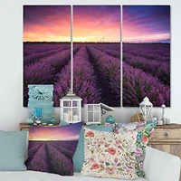 Designart - Sunrise & Dramatic Clouds Over Lavender Field XIII