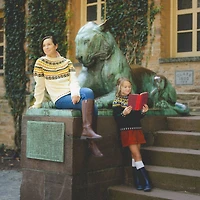 3 Pack Lion Brand® Wool-Ease® DK Yarn