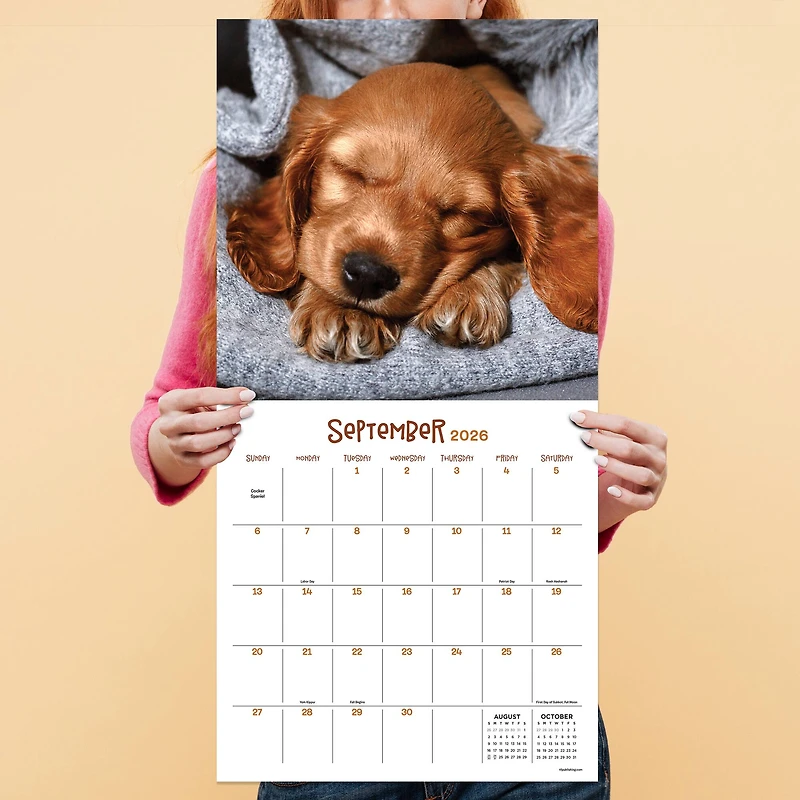 2026 Dog Dreams Wall Calendar