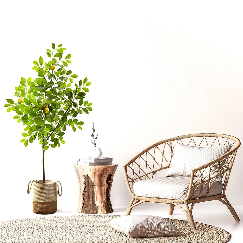 5ft. Potted Lemon Tree