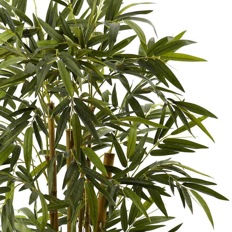 5.5ft. Bamboo Tree with Brown Planter