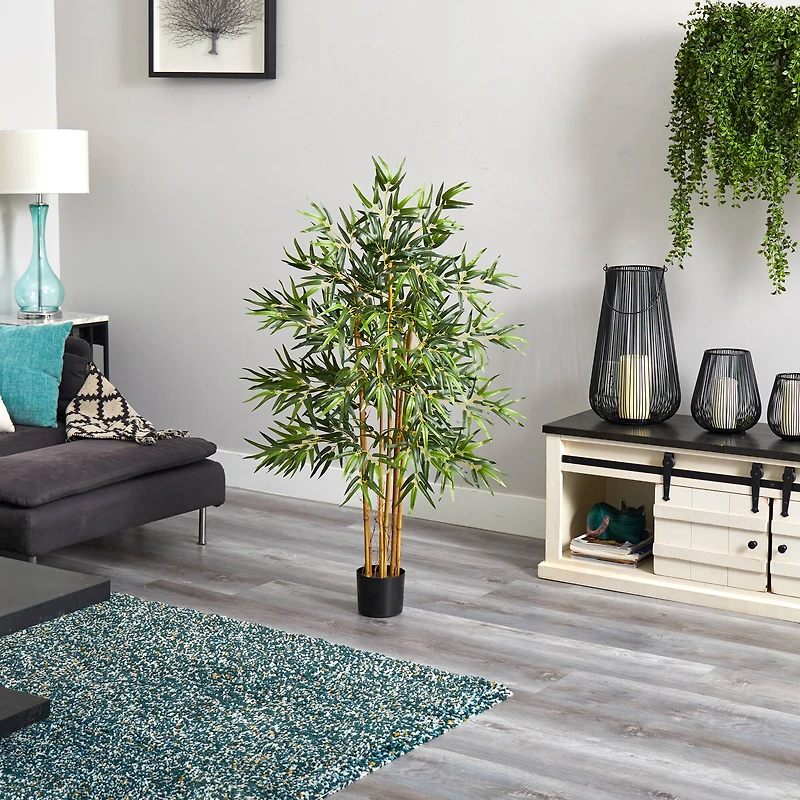 4ft. Potted Bambusa Bamboo Tree