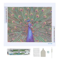 Peacock Diamond Art Kit by Make Market®