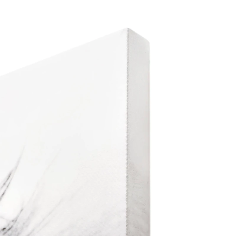 Regal Lion Black & White Glossy Wall Art