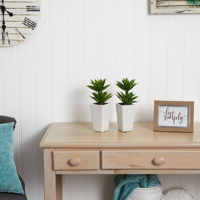 11.5" Double Mini Agave Arrangement with Planter, 2ct.