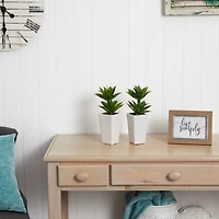 11.5" Double Mini Agave Arrangement with Planter, 2ct.