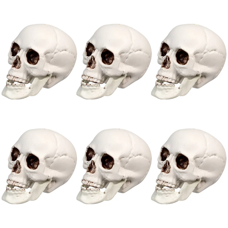 3.5'' Skull Head Halloween Decorations, 6ct.