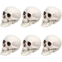 3.5'' Skull Head Halloween Decorations, 6ct.