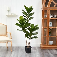5.4ft. Potted Fiddle Leaf Tree 