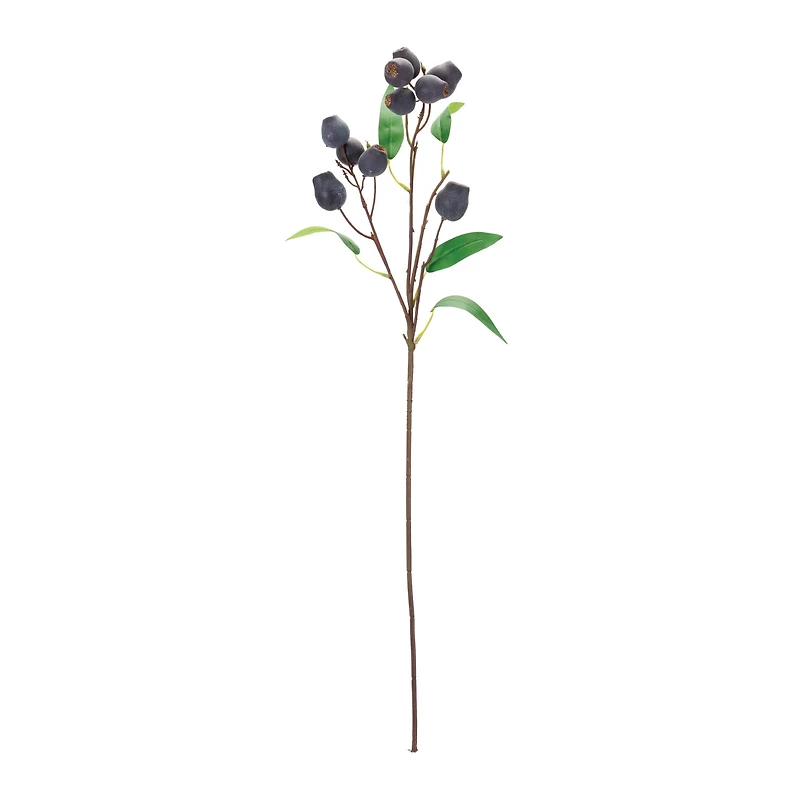 Plum Pod & Leaves Spray, 6ct.