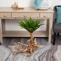 Green Large Agave Pick