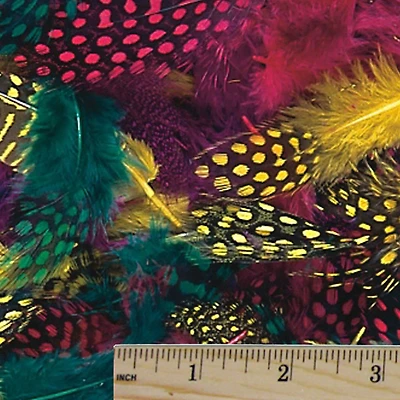 Color Splash!® Dyed Feathers, 200ct.