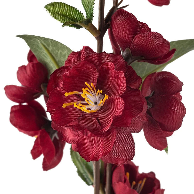 Burgundy Blossom Spray by Ashland®