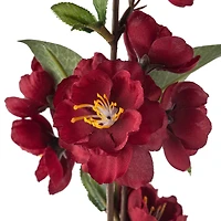 Burgundy Blossom Spray by Ashland®