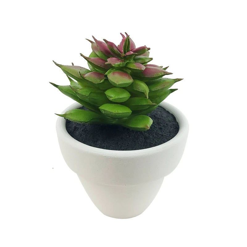Assorted Micro Potted Succulent, 1pc. by Ashland®