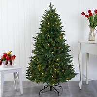 5ft. Pre-Lit New Hampshire Fir Artificial Christmas Tree, Clear LED Lights