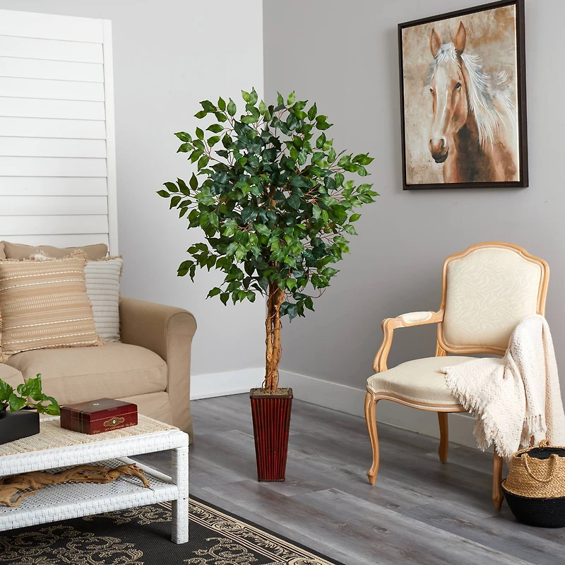 5.5ft. Ficus Tree in Bamboo Planter