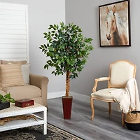 5.5ft. Ficus Tree in Bamboo Planter