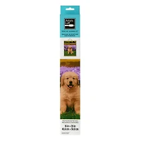 16" x 20" Teddy Dog Paint-by-Number Kit by Artist's Loft®