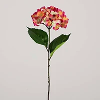 20" Pink Hydrangea Flower Stems, 3ct.