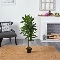 4ft. Dracaena Silk Plant 
