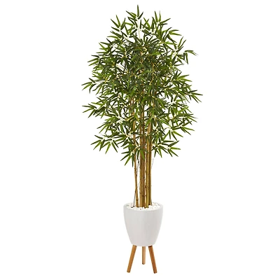 6ft. Multi Bambusa Bamboo Tree in White Planter with Stand