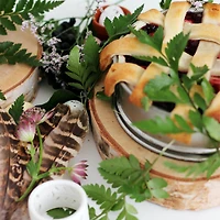 Wilson® Enterprises 5" Birch Rounds, 8ct.