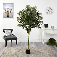 6ft. Potted Golden Cane Palm Tree