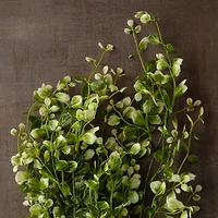 Two Toned Green Hanging Smilax Bush by Ashland®