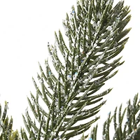 2ft. Pre-Lit Snowy Morgan Spruce Artificial Christmas Tree, Warm White LED Lights