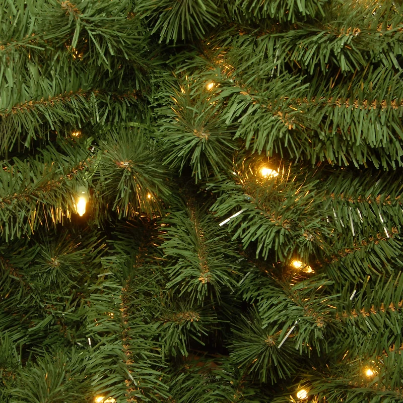 6ft. Pre-Lit Kincaid Spruce Full Artificial Christmas Tree, Clear Lights