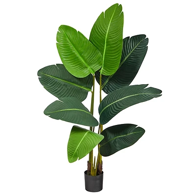 3.5ft. Potted Travelers Palm Tree