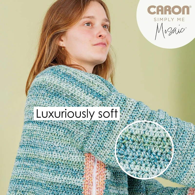 2 Pack Caron® Simply Me Mosaic™ Yarn