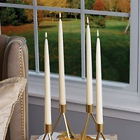 Root Candles 12" Dipped Taper Dinner Candles