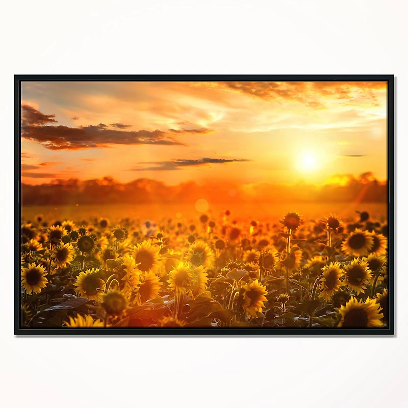Designart - Yellow Sunset over Sunflowers