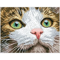 Diamond Dotz® Green Eyed Beauty Diamond Painting Artwork Kit