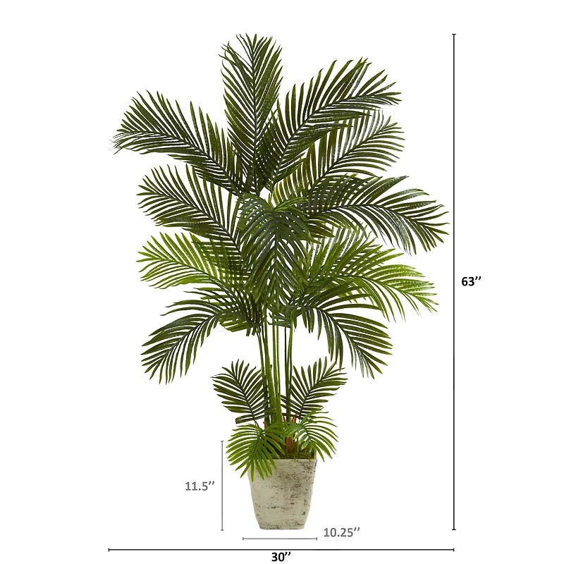 5.25ft. Areca Palm Tree in Country White Planter