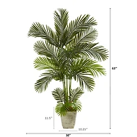 5.25ft. Areca Palm Tree in Country White Planter