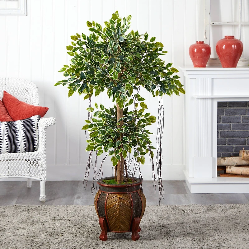 5ft. Variegated Ficus Artificial Tree in Footed Planter