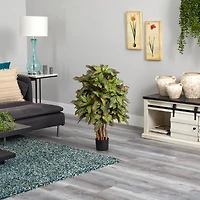 3ft. Potted Croton Tree