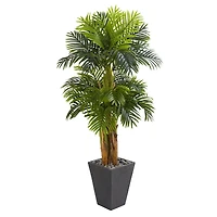 5.5ft. Triple Areca Palm Tree with Slate Planter
