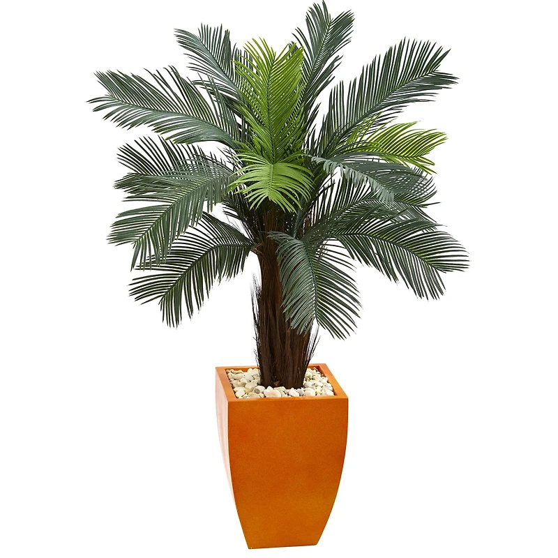 4.5ft. Cycas Tree in Orange Planter
