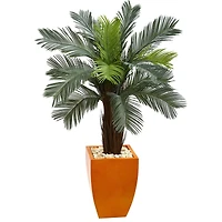 4.5ft. Cycas Tree in Orange Planter