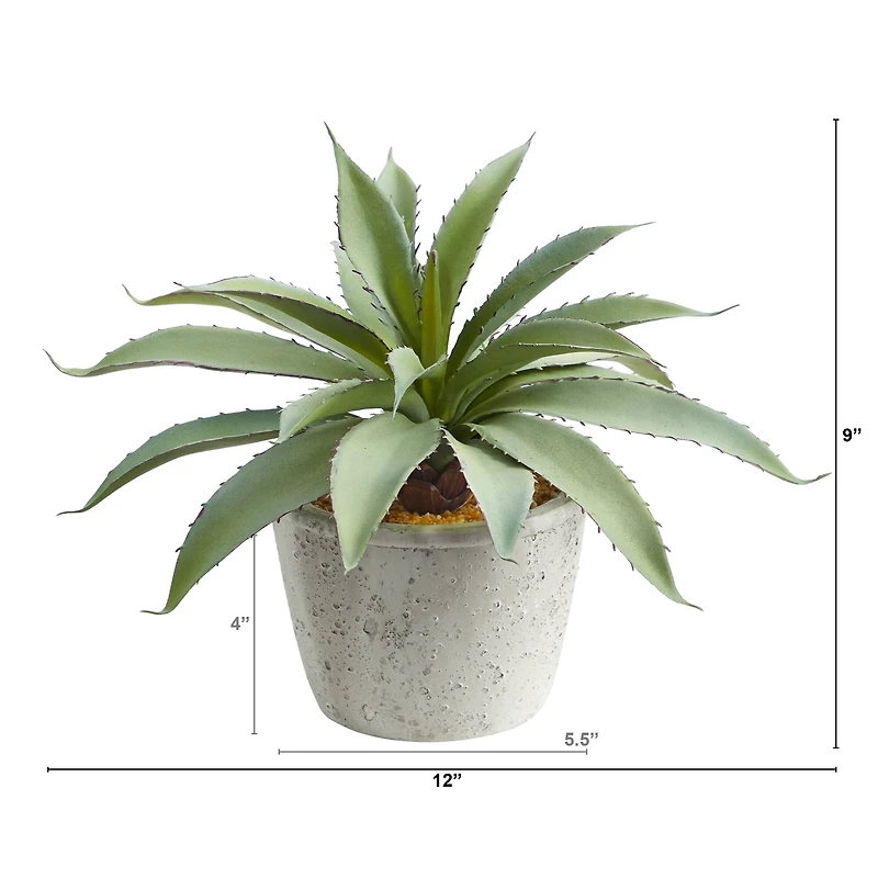 9" Potted Aloe Succulent Plant