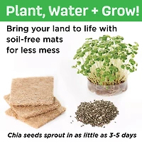 Creativity for Kids® Build & Grow Magical Land