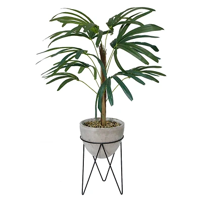 Flora Bunda® 40" Switch Cane Palm In Cement Planter On Metal Stand
