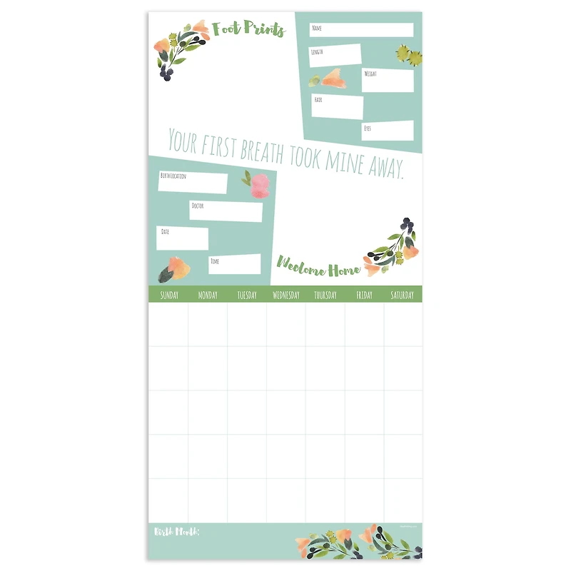 TF Publishing Baby's First Year Undated Keepsake Wall Calendar