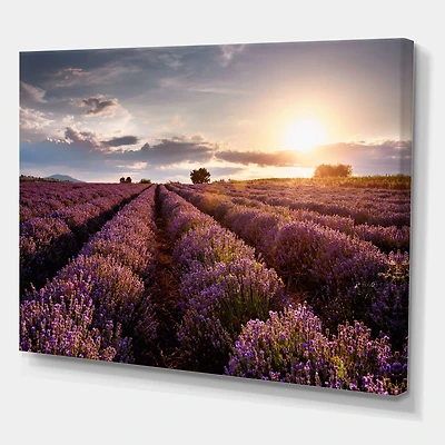 Designart - Sunrise & Dramatic Clouds Over Lavender Field V