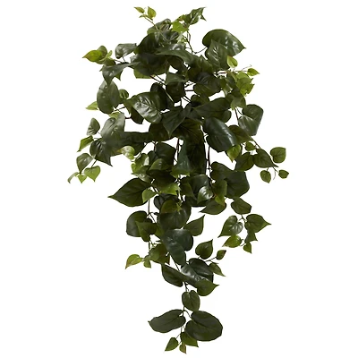 Hanging Philo Plant, 3ct.